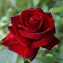 Test Ürün 1 2
